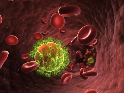 Hashimoto-Thyreoiditis-Immunsystem Hashimoto-Thyreoiditis-Immunsystem