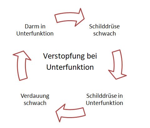Bitterstoffe gegen Verstopfung bei Schilddrüsenunterfunktion Bitterstoffe gegen Verstopfung bei Schilddrüsenunterfunktion
