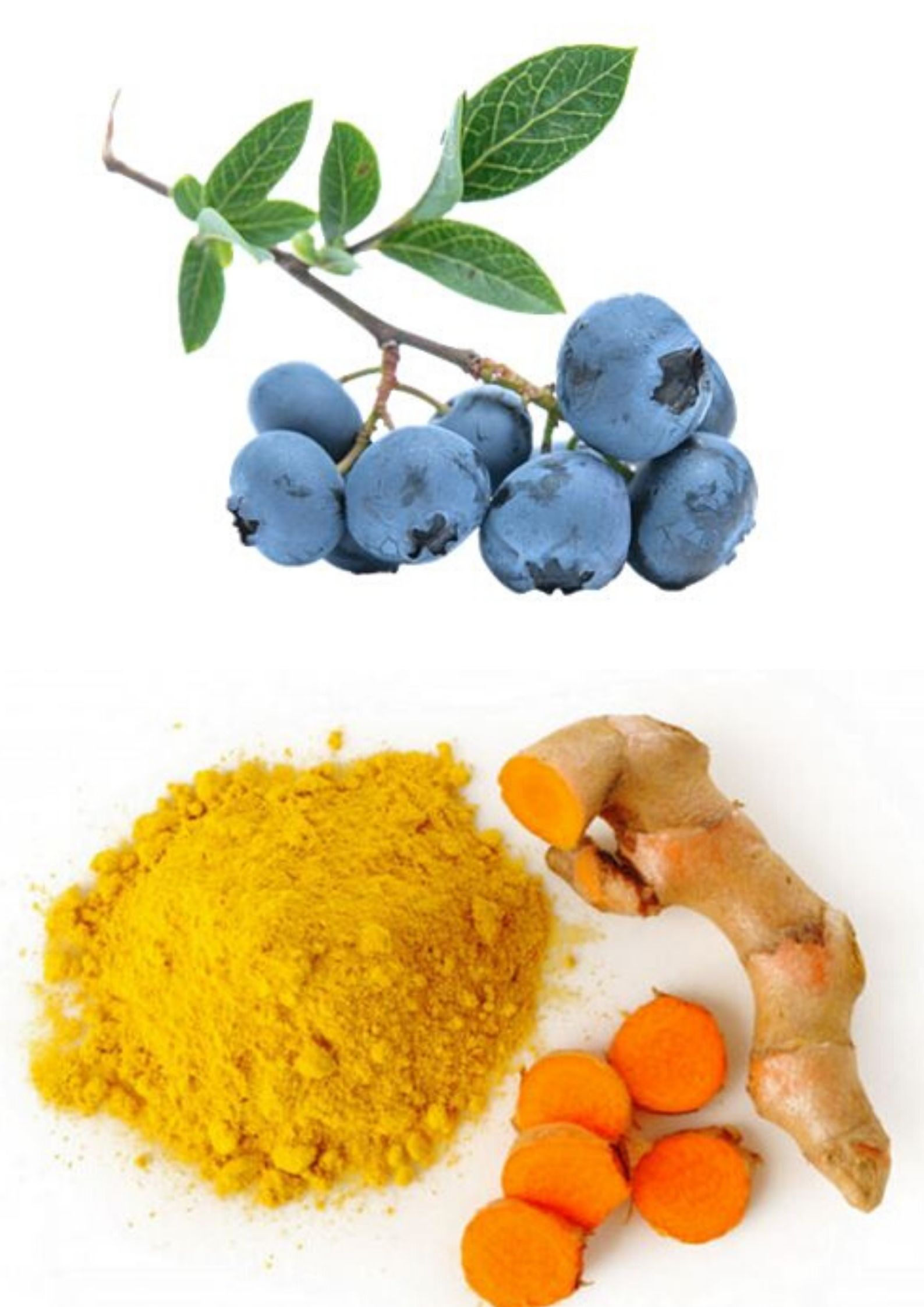 Entzuendungen Beeren Entzuendungen Beeren