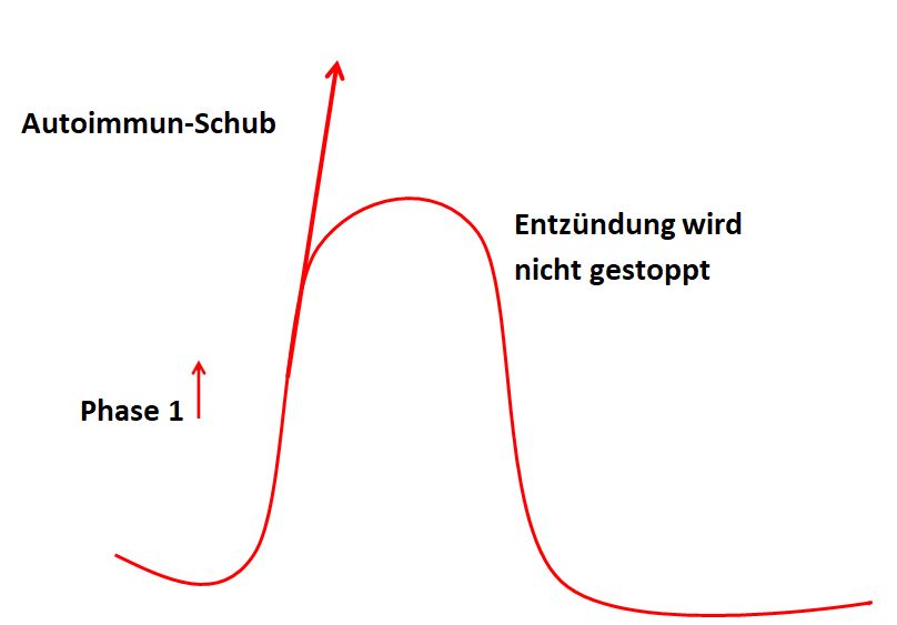 Entzuendung Hashimoto3 Entzuendung Hashimoto3
