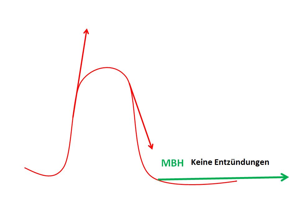 Entzuendung Hashimoto5 Entzuendung Hashimoto5