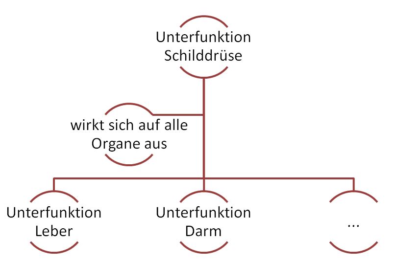 Unterfunktion aller Organe Unterfunktion aller Organe