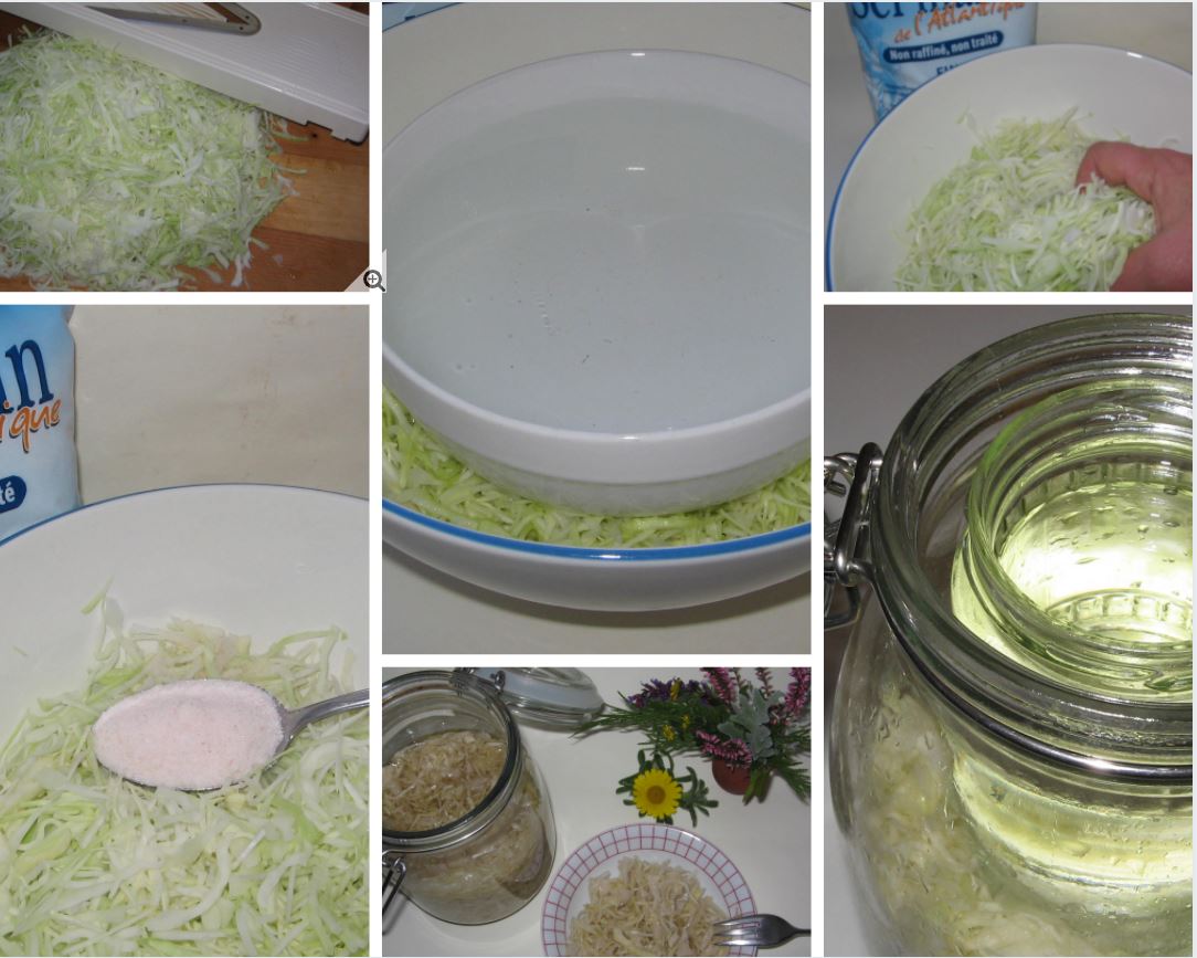 Sauerkraut Krisenblog Sauerkraut Krisenblog