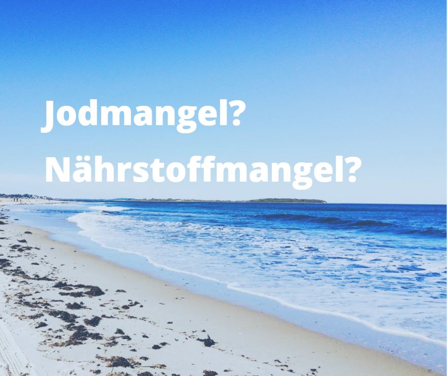 Meeresalgen bei Jodmangel Meeresalgen bei Jodmangel