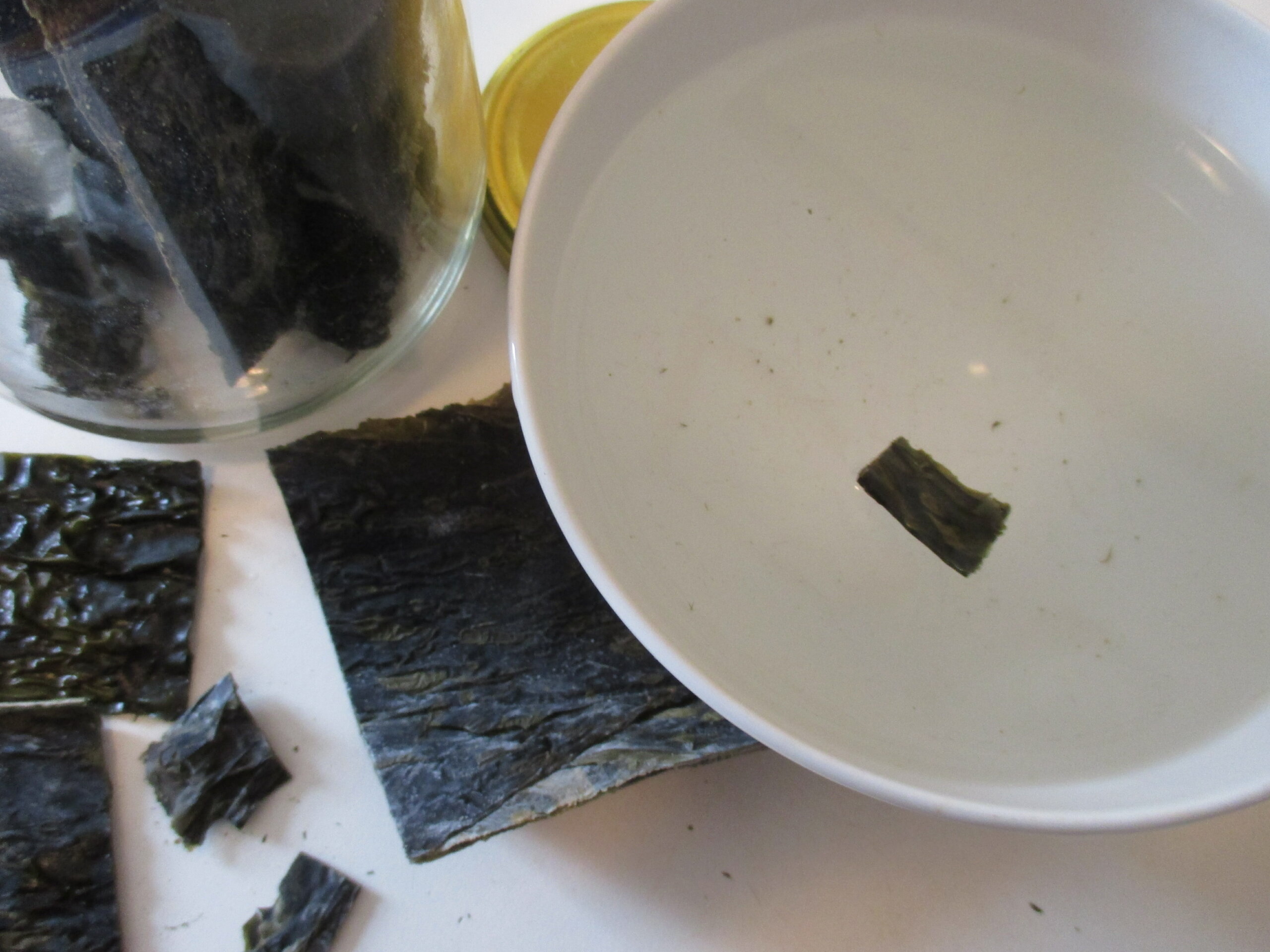 Wakame-Algamar6